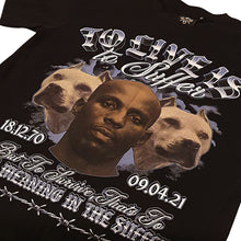 DMX (black)