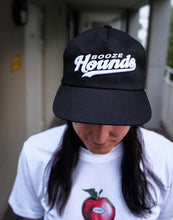 Hounds (black snapback)